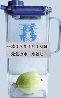 ����17�N1��16���u���C�̐��v������