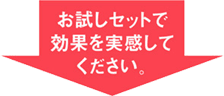 �������Z�b�g�Ō��ʂ��������Ă�������