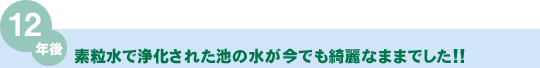 12年後 素粒水で浄化された池の水が今でも綺麗なままでした!!