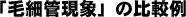 毛細管現象の比較例