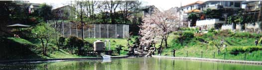 神奈川県　某市　公園の池