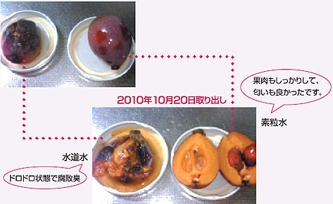 取り出し2010.10.20 枇杷