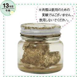 牛肉 13年目:※肉類は飲用のための実験ではございません。飲用しないでください。