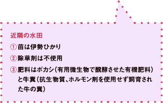 近隣の水田@苗は伊勢ひかりA除草剤は不使用B肥料はボカシ(有用微生物で醗酵させた有機肥料)と牛糞(抗生物質、ホルモン剤を使用せず飼育された牛の糞)