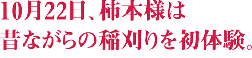 10月22日、柿本様は昔ながらの稲刈りを初体験。