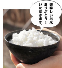 美味しいお米ありがとう!いただきます。