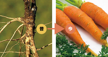 �́����@�j���W��