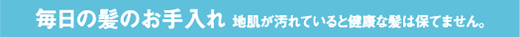 毎日の髪のお手入れ/地肌が汚れていると健康な髪は保てません。