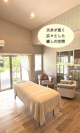 V䂪LXƂ̋