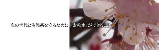 ̐ƐԌn邽߂Ɂufvł邱